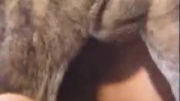 Pregnant girl gets screwed by dog