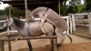 Exciting sex scene featuring aroused beasts and intense thrusting