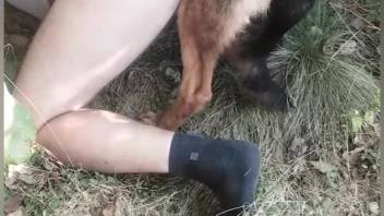 Guy senses canine penetrating his rear end while screwing him in an insane sequence