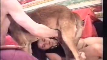 Husband guides his wife on the proper way to have sex with a dog